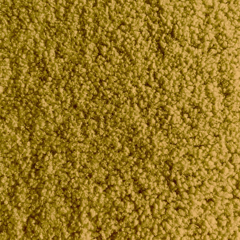Teddy Ochre